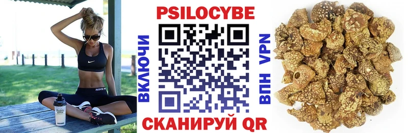 Псилоцибиновые грибы GOLDEN TEACHER  Купить  Оха 